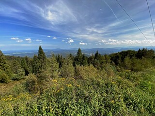 widok z Jaworzyny Krynickiej na góry Beskid Sądecki