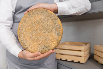 Farmer in gray apron holds circle of blue cheese