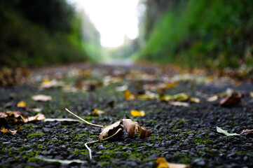 feuille route