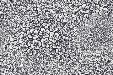 Nahtloses Blumenmuster mit Gartenblumen Hortensie. Schwarz und weiß. Vektor. © marinavorona