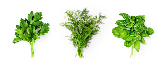 Basil, dill and parsley collection