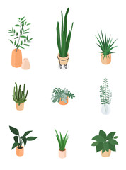Set of isometric potted plant. Vector collection. Illustration in flat design.