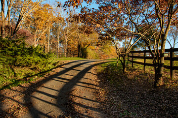 Trees and shadow of fence along gravel road in central Virginia in autumn.