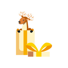 christmas, reindeer cute in big gift box present, on white background