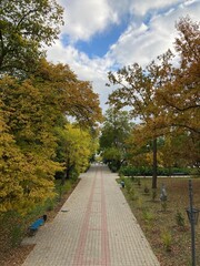 path in the park