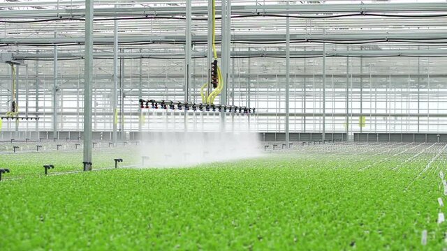 Greenhouse water agriculture system controlled by modern technologies Spbd. For efficient production of greens and vegetables, inustrian manufacturers use technique that is controlled by computer