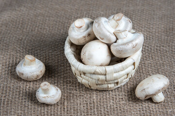 Closeup of button raw whole mushrooms in wicker basket on natural sackcloth background