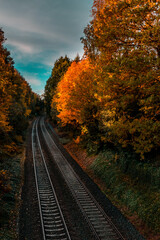 Naklejka na ściany i meble Railway road throught the gloomy dark autumn forest