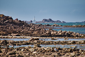 seagulls on the beach in island
