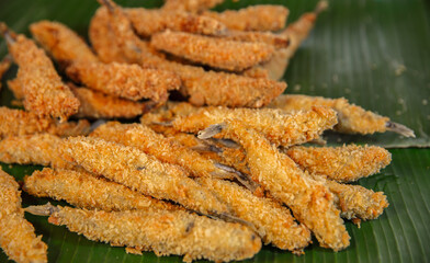 Animal Body Part, Animal Skin, Black Color, Catfish, Clean