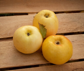 Organic apples grown in the home garden in a wooden box