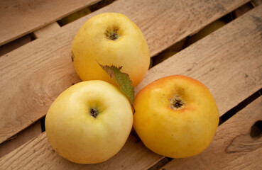 Naklejka na ściany i meble Organic diet - homemade apples on wooden planks background