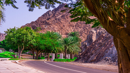 Beautiful Muscat