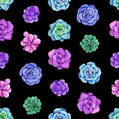 Colorful watercolor succulents seamless pattern on black background