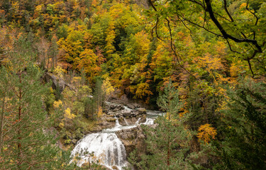 A small waterfall among yellow autumn forest in ordesa national park, Huesca, Spain