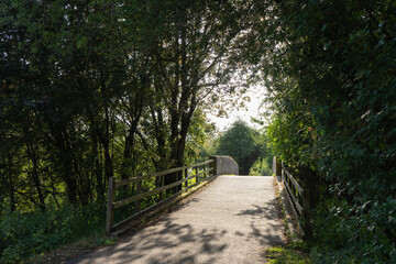 Sun lit concrete bridge over canal at dusk in summer time beautiful shadows on pavement floor, trees creating tree tunnel