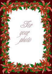 Fototapeta na wymiar The frame for the photo.Christmas red flowers poinsettia and leaves