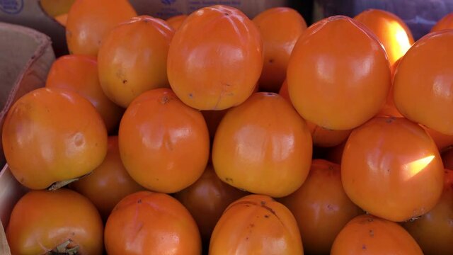 Harvest of fresh persimmon close up