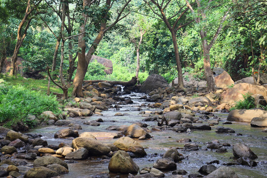 stream in the forest. Mountain stream and big stones. River flows between rocks.