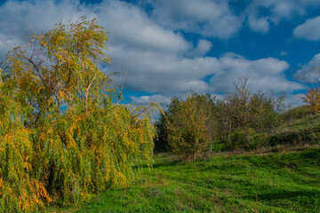 Autumn landscape forest with clouds and sky 
