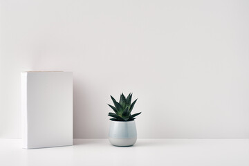 Houseplant in a pot and a book on a white background. Minimalism, eco-materials in the interior decor. Copy space, mock up.