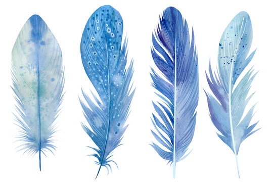 Watercolor illustration. Boho Set of blue feathers on white isolated background