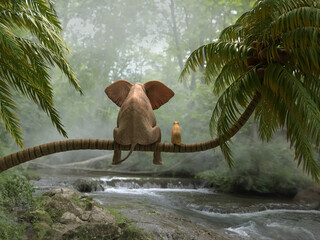 elephant and dog sit on a palm tree in tropical forest