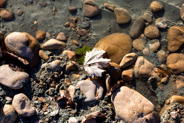 Natural river stony bottom, shallow riverbed during autumn weather on a Sunny day in a mountainous area.
