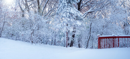 Snow storm	