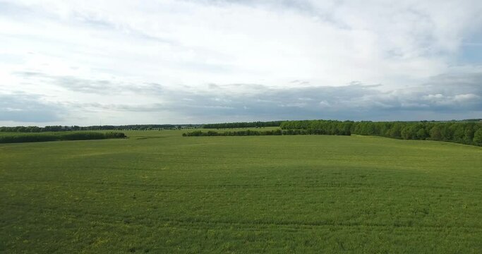 Beautiful Green Open Field With Trees and a Dramatic Sky in South Sweden Sk&aring;ne &Ouml;sterlen, Aerial Forward Slow