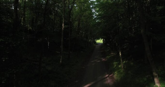 Flying Through a Dark Forest in Daytime, Summer, In The Countryside of Sweden Sk&aring;ne, &Ouml;sterlen, Aerial Low Forward Slow