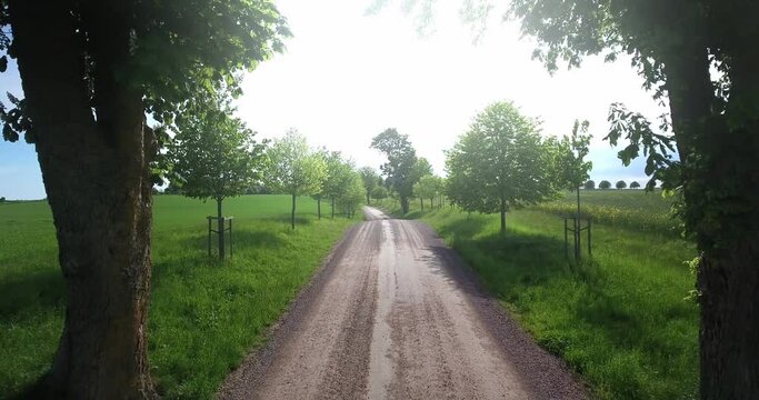 Flying in Between Trees in South Sweden Sk&aring;ne, &Ouml;sterlen Summertime, Aerial Low Forward Slow