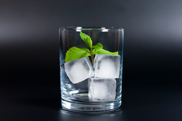A glass with ice cubes and a sprig of mint in the center of the screen. 