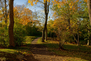 View of the path in the park in autumn.