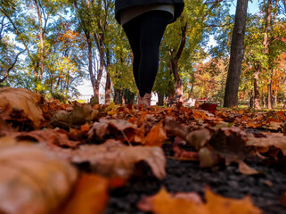 A walk through the park in the fall