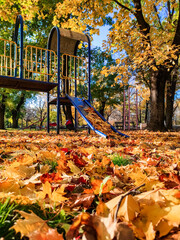 Empty children's playground, autumn leafs