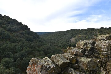 Dry stone wall in the village of Valdevigas overlooking a ravine full of holm oaks.