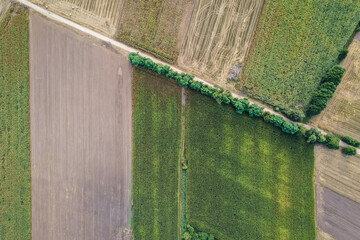 High angle drone view of road among fields in Mazovia Province of Poland