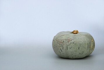 Light green pumpkin isolated on grey background.