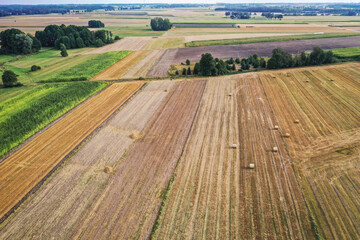 Fototapeta premium Drone aerial view of fields in small Jaczew village, Gmina Korytnica, Mazovia Province of Poland