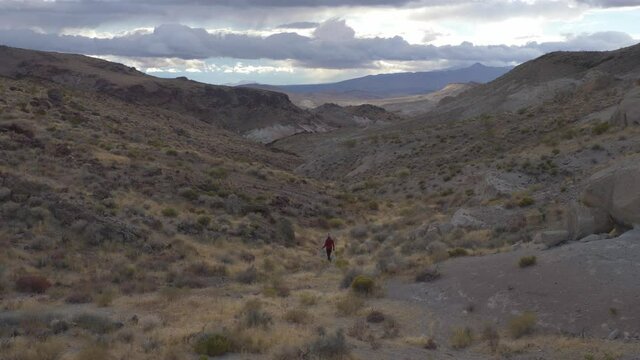 Person walking with dog in Red Rock Canyon area CA.