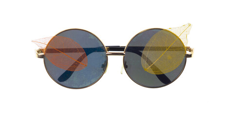 sunglasses and colored autumn leaves