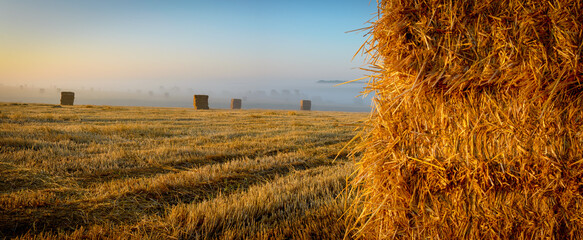 Beautiful view of haystacks in farm field during foggy sunrise.