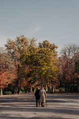 Two friends in autumn