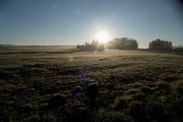 chilly mornint on a grassy meadow