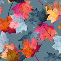 Maple leaves.Assorted autumn leaves.Art.Picture on white and colored background.