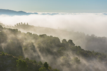 Low clouds moving between the mountains and creating a beautiful landscape with fog between the trees.
