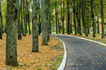 Sunny view of park of holiday hotel near Klyazma reservoir, Moscow region, Russia.