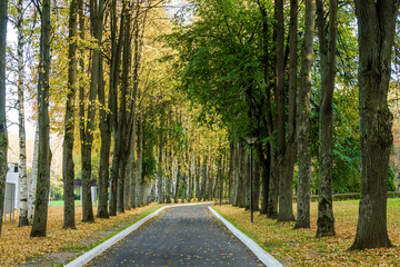 Sunny view of park of holiday hotel near Klyazma reservoir, Moscow region, Russia.