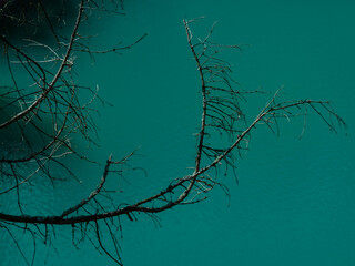 Dry branch against the background of water surface of the turquoise forest lake Sea Eye.